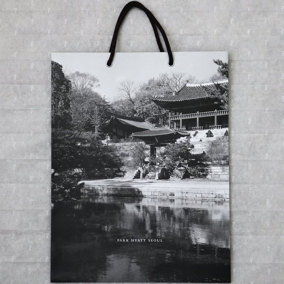 Park Hyatt Seoul Luxury Hotel Large Paper Bag - Picture 1 of 1